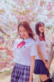 老卫干淑溶全部(深橙属意)